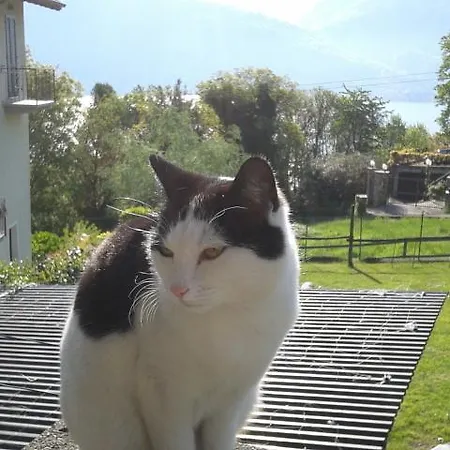 Il Motto Bed & Breakfast