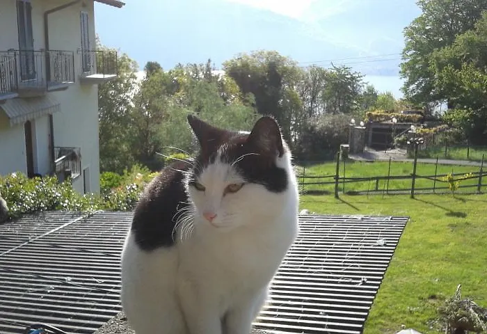 Il Motto Couette-café